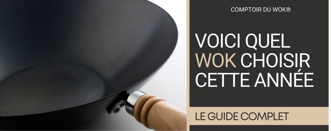 Quel Wok Choisir