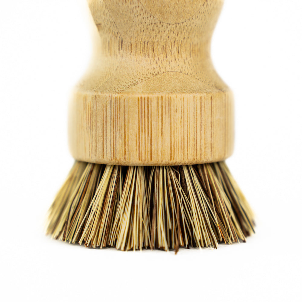 Cadeau offert : La Bradi Brosse Nettoyante