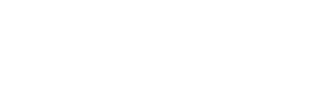 Comptoir du Wok