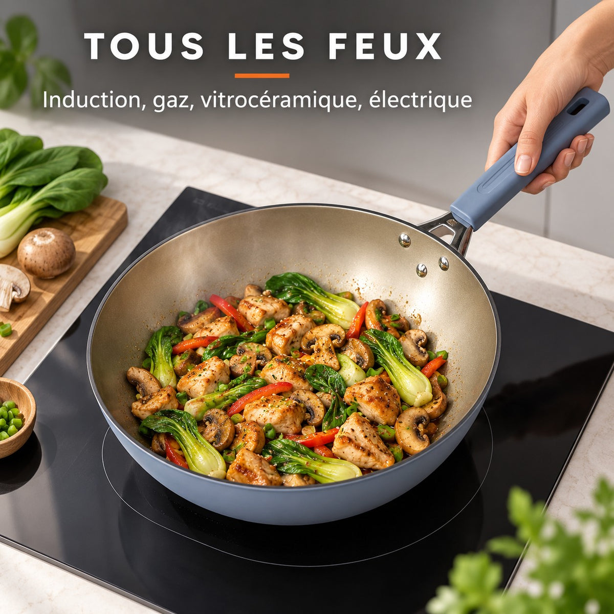 Wok avec couvercle, TOUS LES FEUX : Induction, gaz, vitrocéramique, électrique