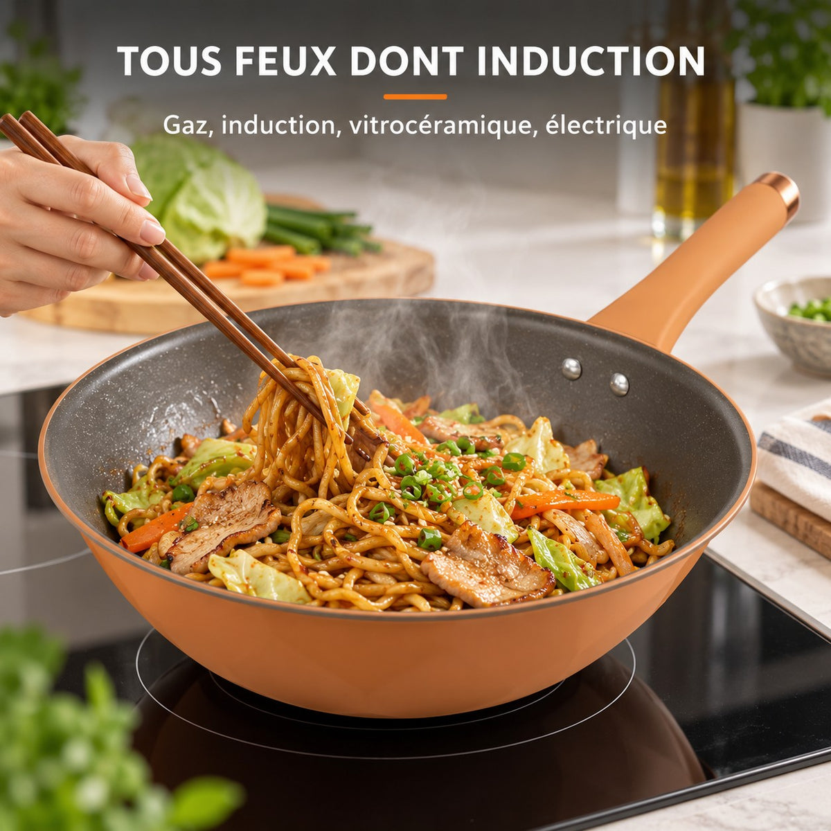 Wok qualité professionnelle, TOUS FEUX DONT INDUCTION : Gaz, induction, vitrocéramique, électrique